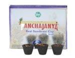 Panchajanya Cup Dhoop  12 units