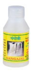 Gangajal
